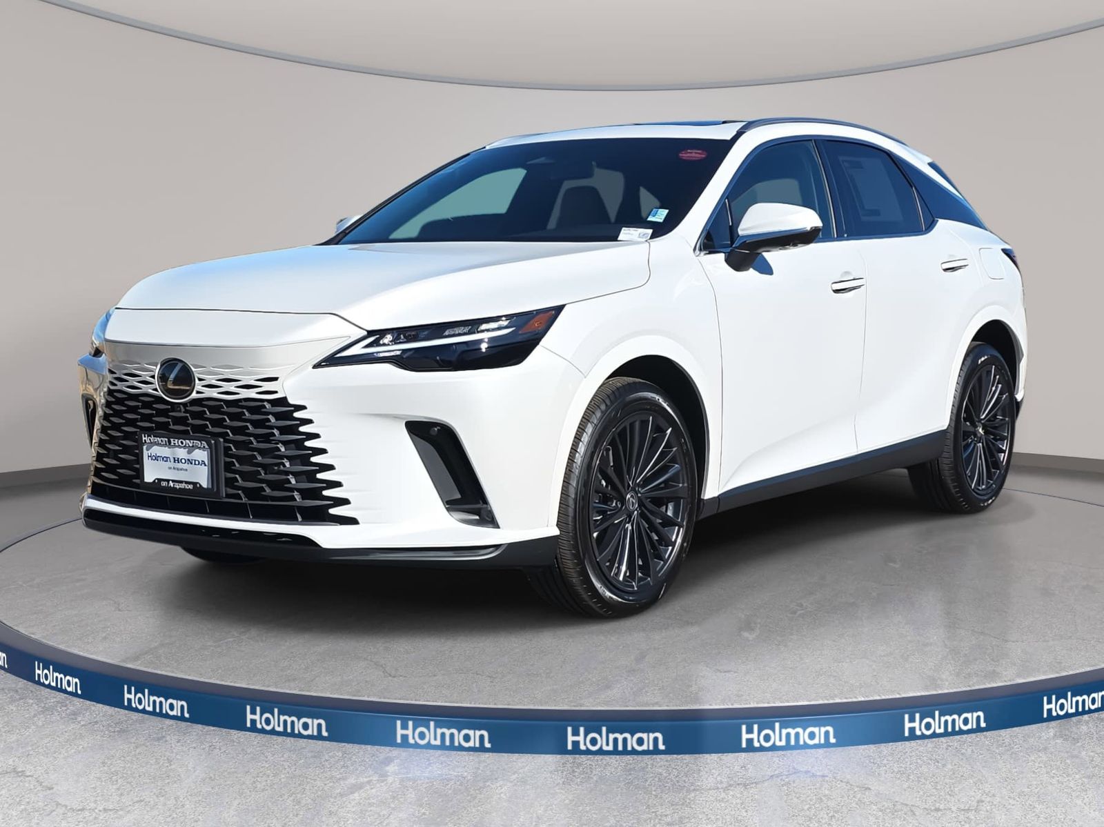 2025 Lexus RX Hybrid 350h's photo