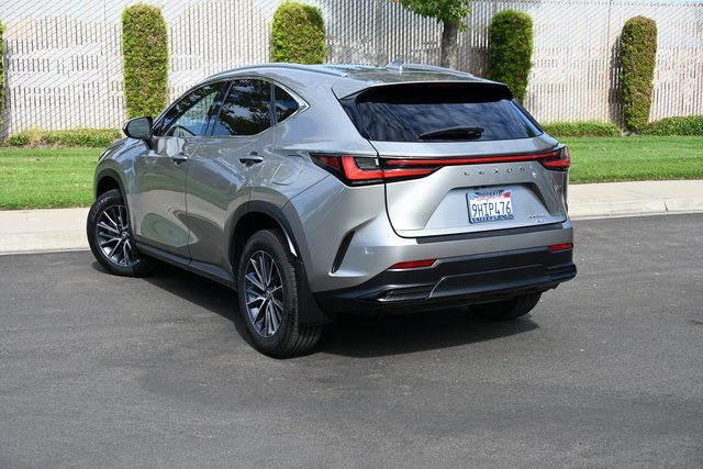 2024 Lexus NX 350h photo 4