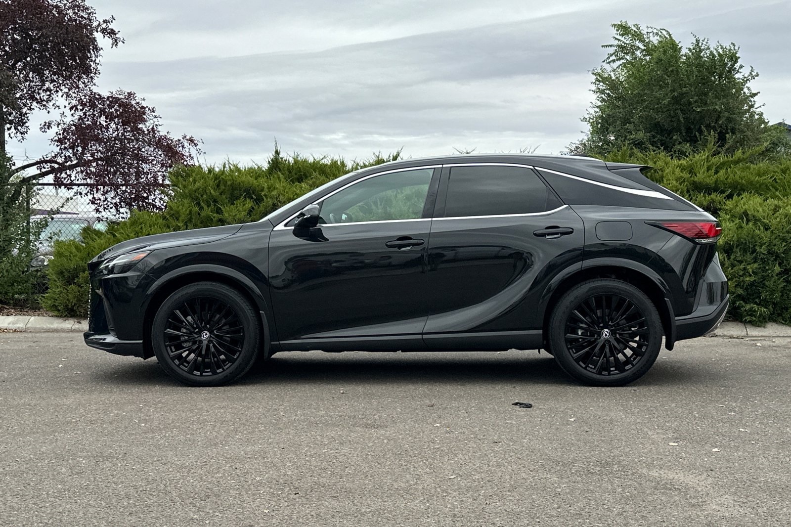 2023 Lexus RX 350h Premium AWD photo 5