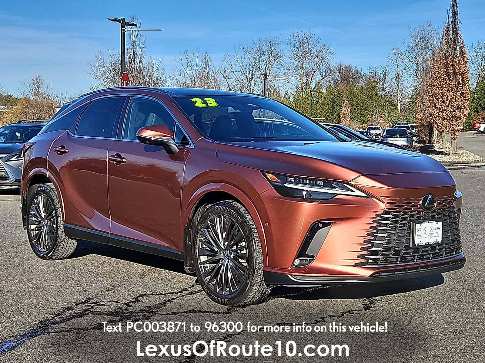 2023 Lexus RX 350's photo