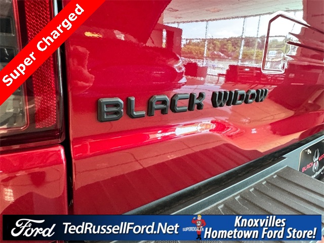 2025 Ford F-150 XL photo 5