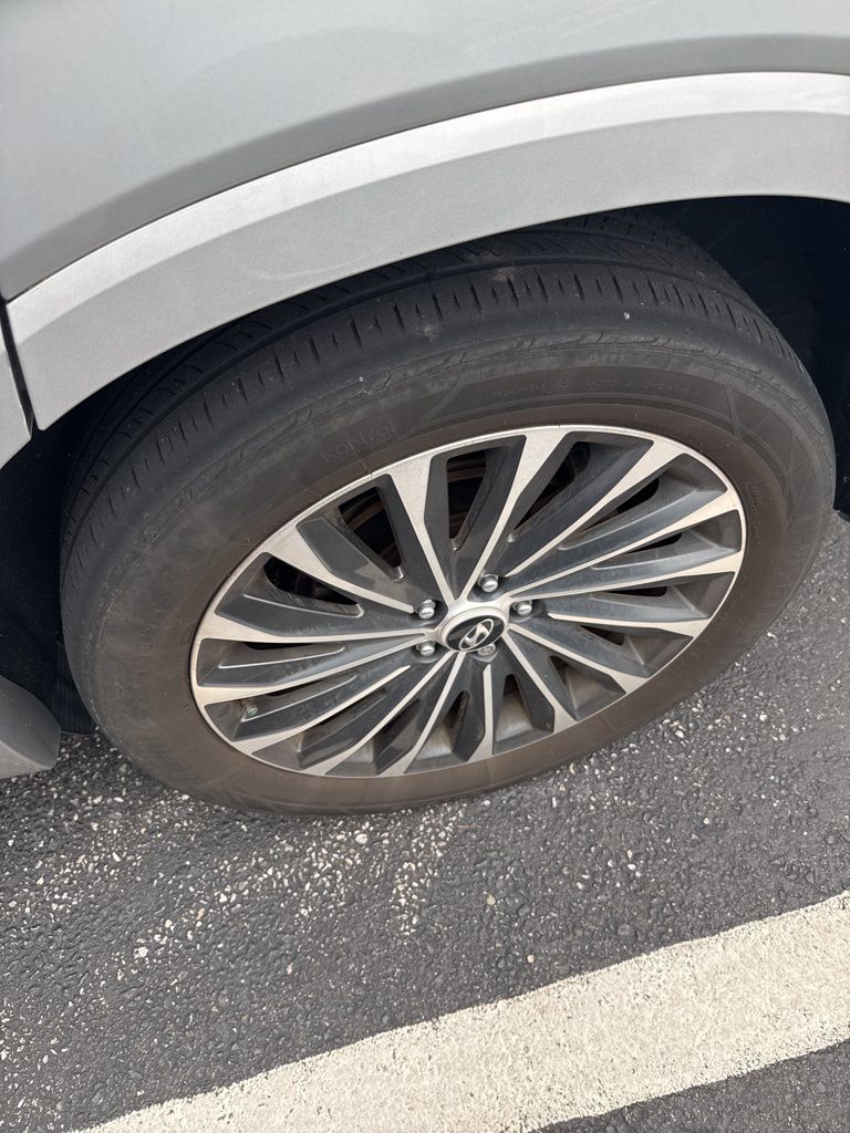 2023 Hyundai Palisade Calligraphy photo 3