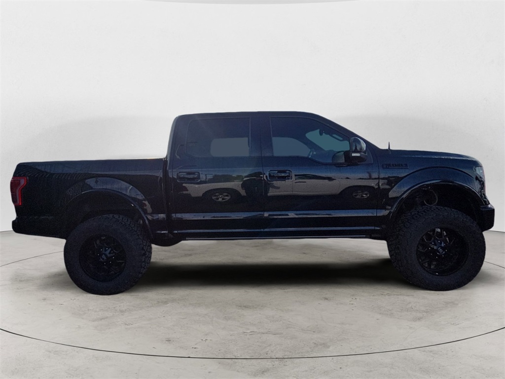 2017 Ford F-150 Platinum photo 2