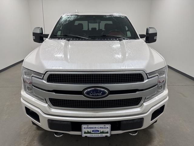Used 2019 Ford F-150 Platinum with VIN 1FTEW1E4XKFC87059 for sale in Pine River, Minnesota