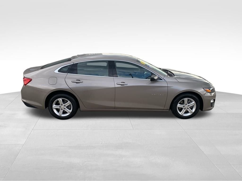 2023 Chevrolet Malibu 1LT photo 5