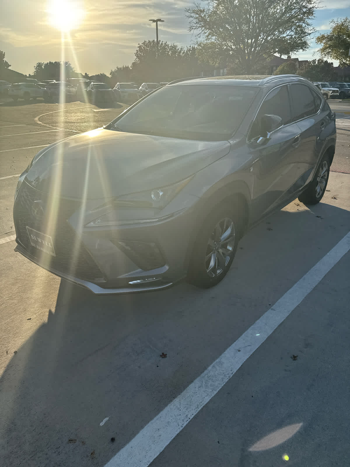 2021 Lexus NX 300 F SPORT's photo