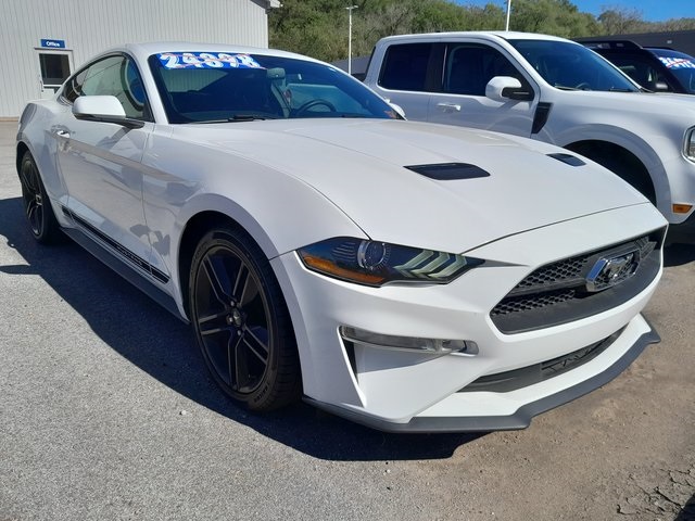 2019 Ford Mustang EcoBoost Premium photo 3