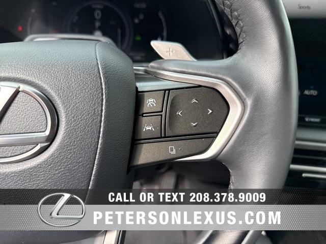 2024 Lexus RX 350h Premium photo 25