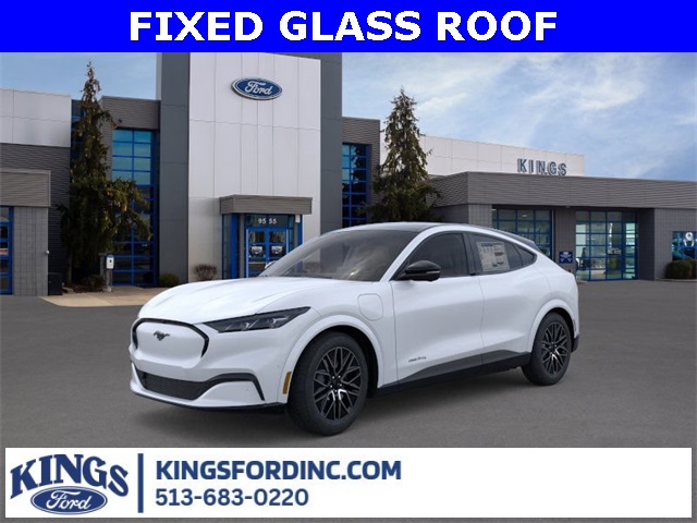 2025 Ford Mustang Mach-E Premium AWD's photo