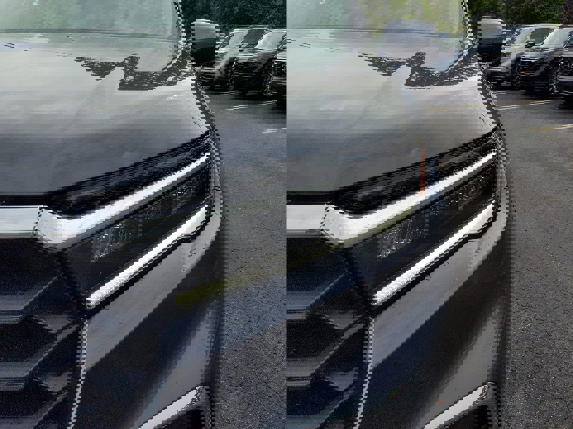 2025 Honda Pilot EX-L photo 8