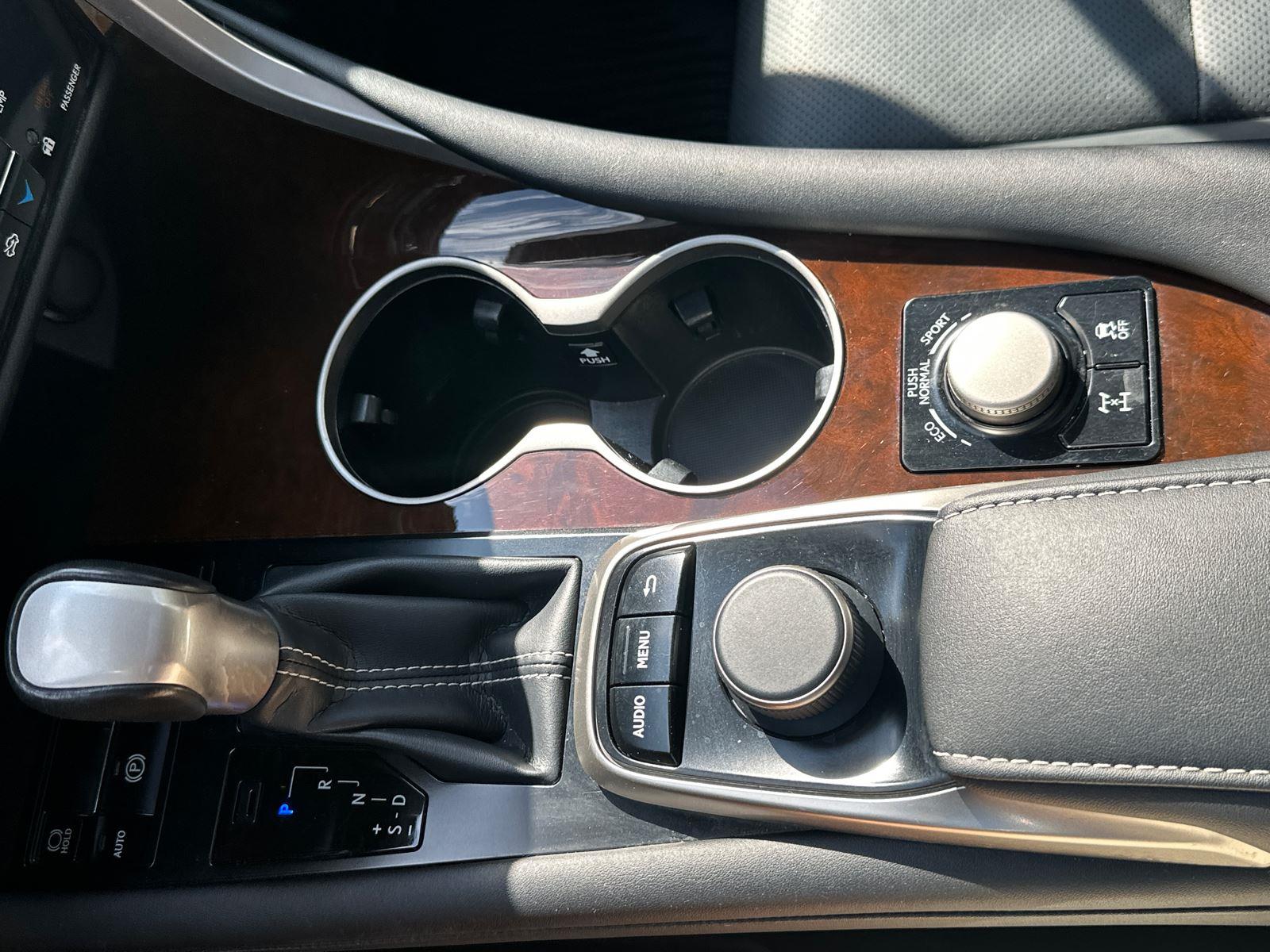 2019 Lexus RX 350 F SPORT photo 21