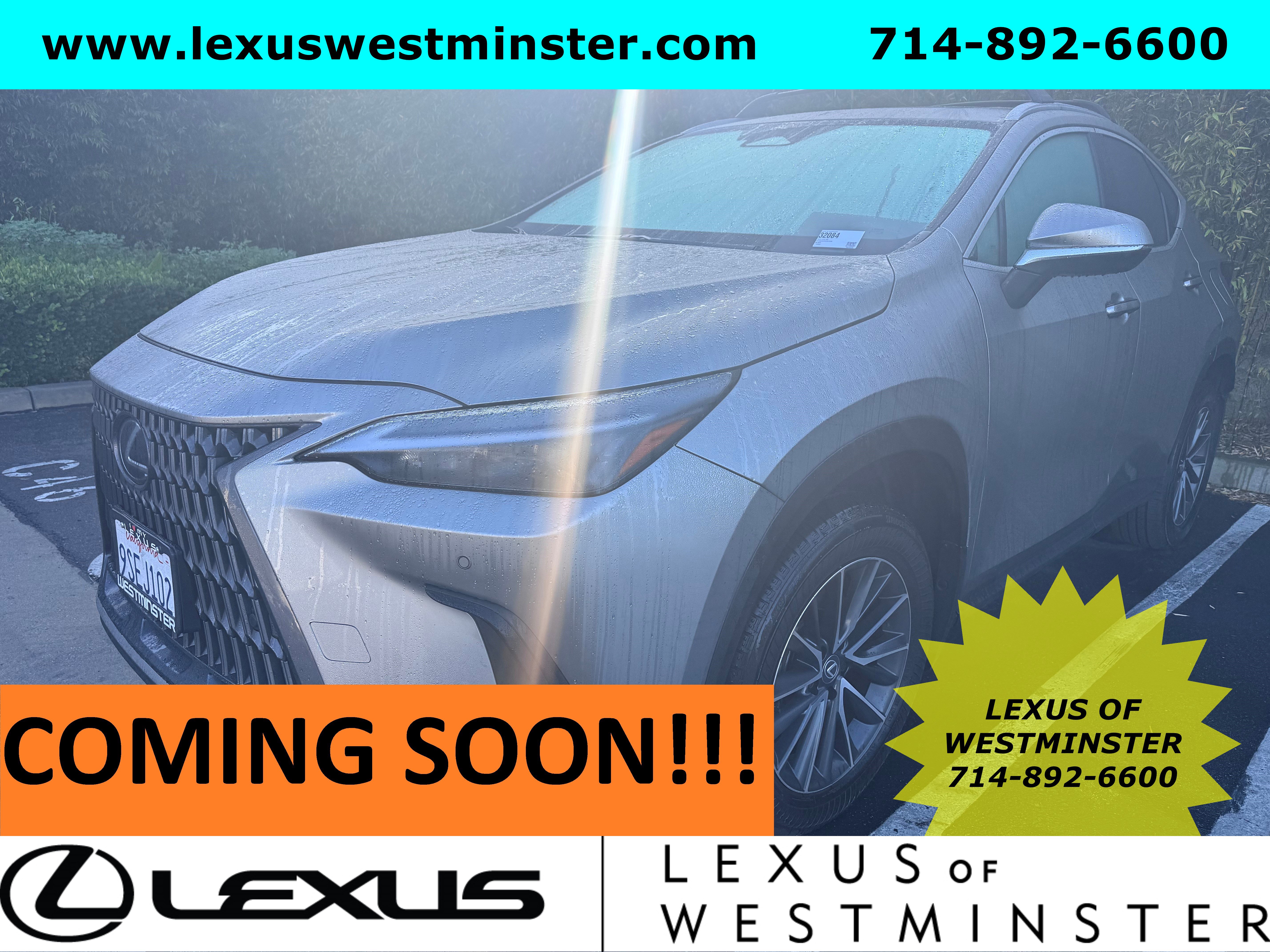 2025 Lexus NX 250's photo