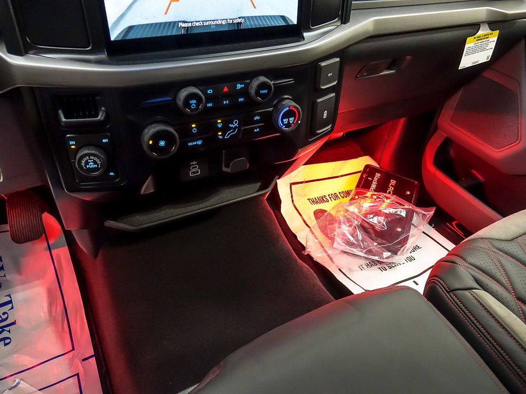 2025 FORD F-150 - Image 16