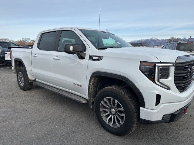 2022 Gmc Sierra 1500 AT4 photo 3