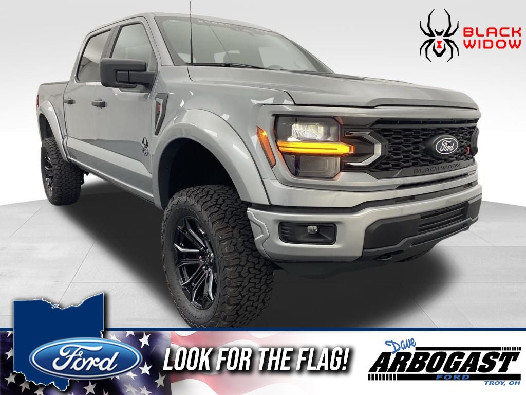 2025 Ford F-150 STX's photo