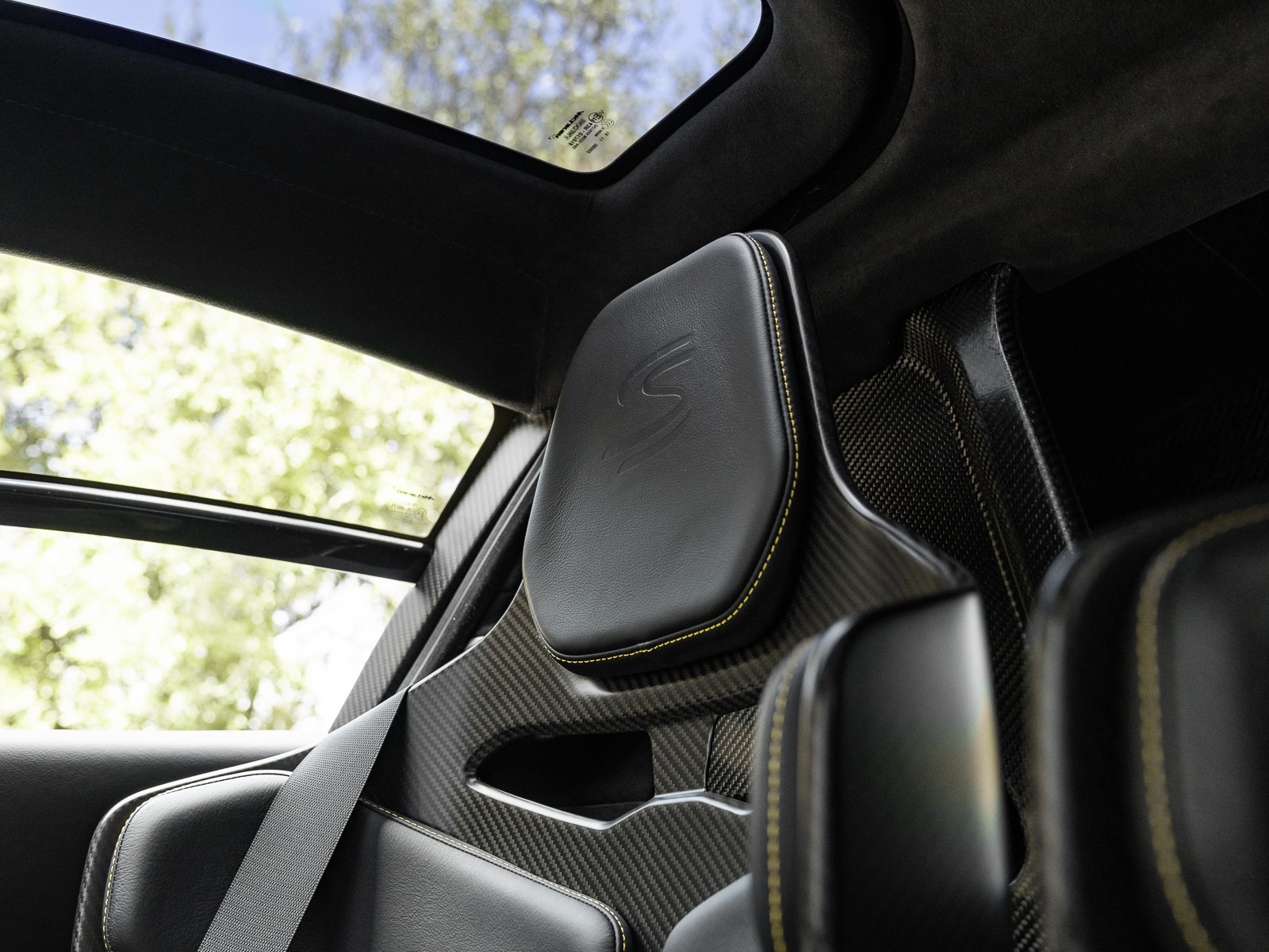 2019 Mclaren SENNA photo 16