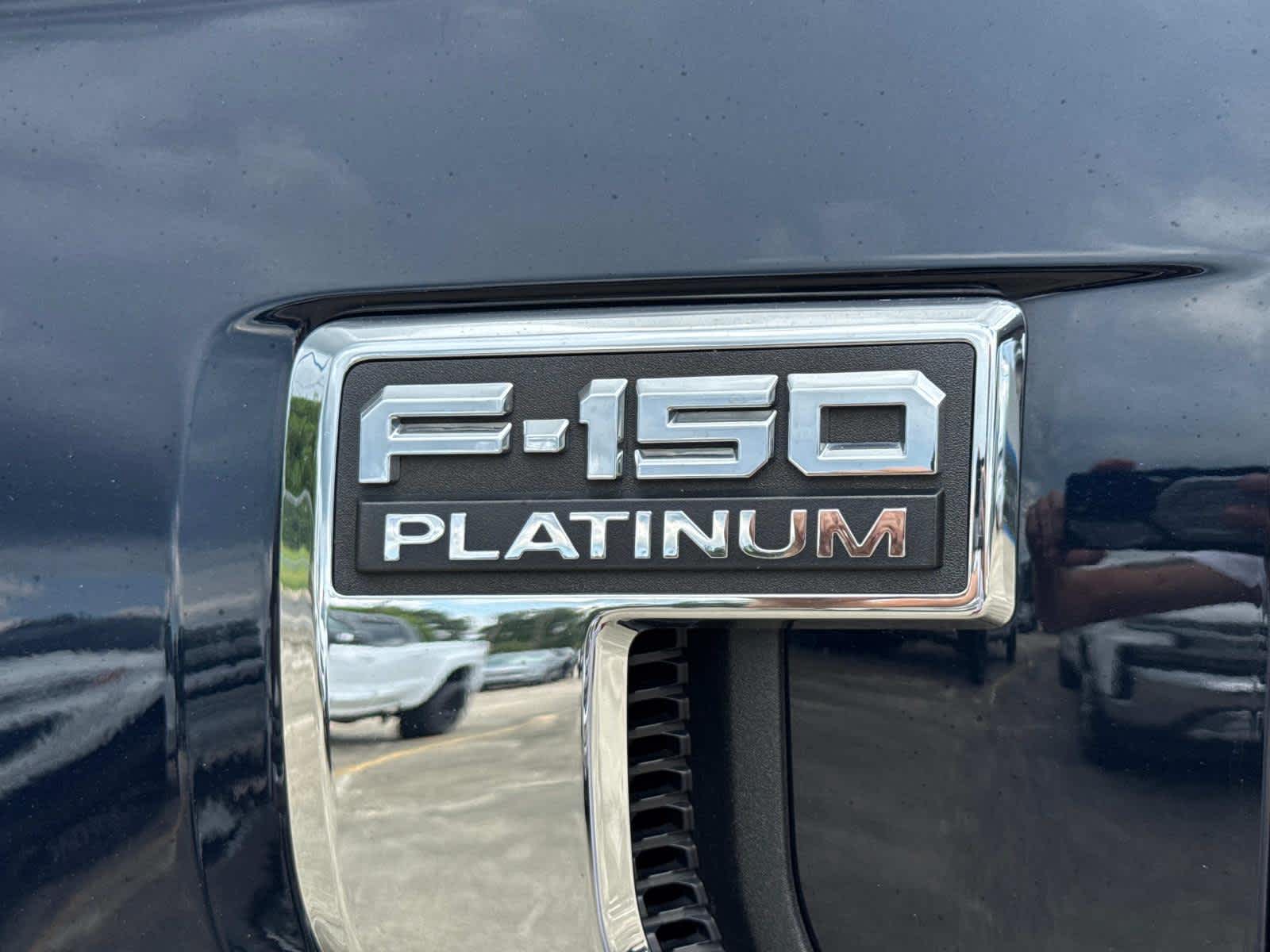 2021 Ford F-150 Platinum photo 18