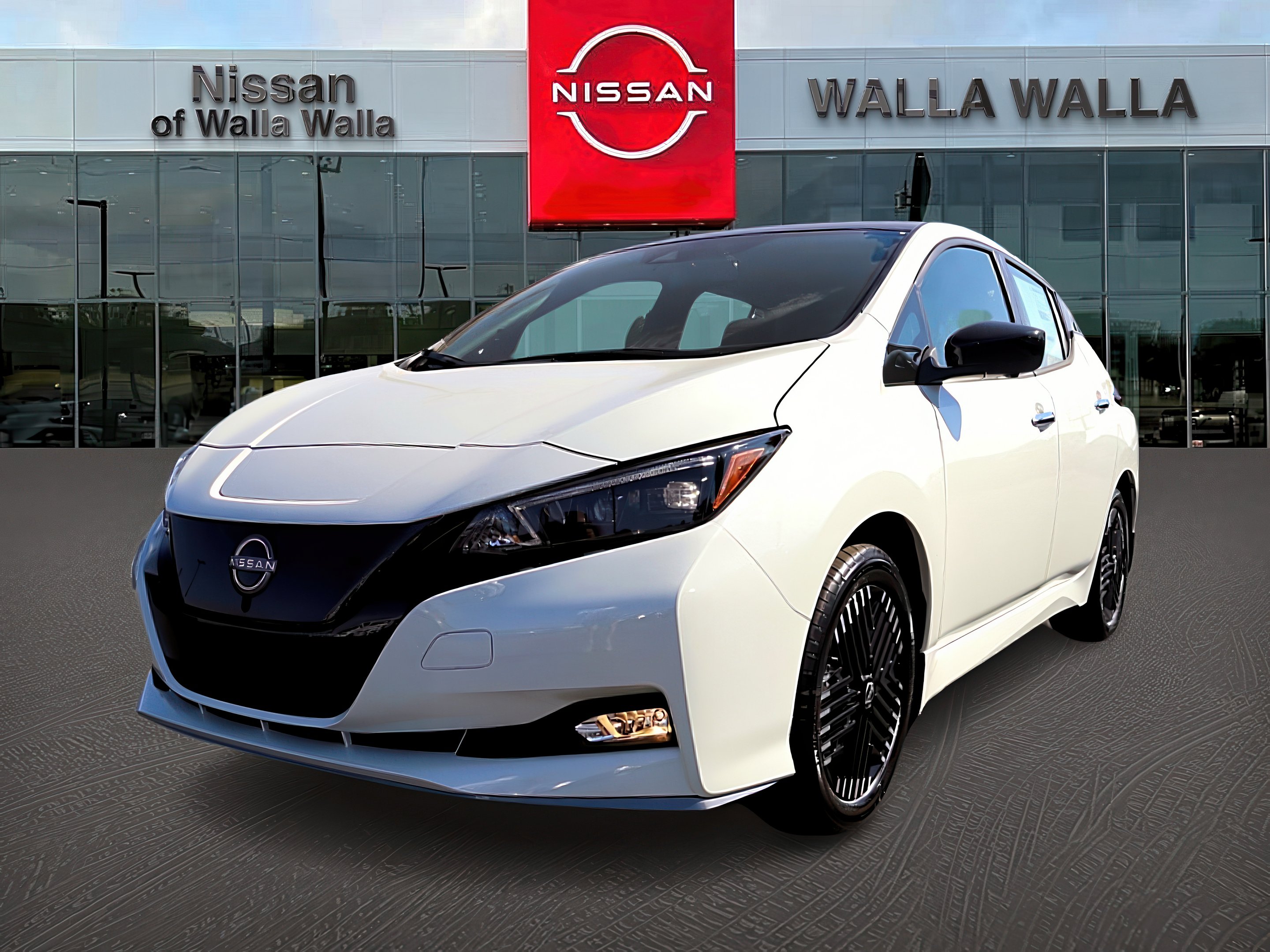 2025 Nissan Leaf SV Plus photo 3