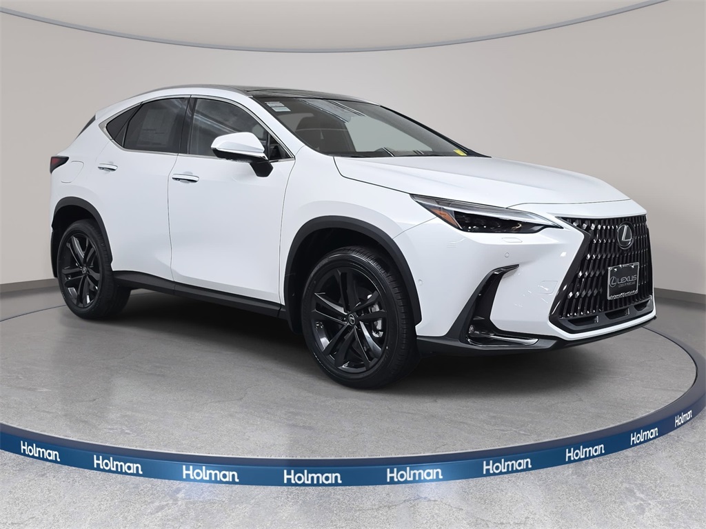 2026 Lexus NX Luxury AWD photo 2