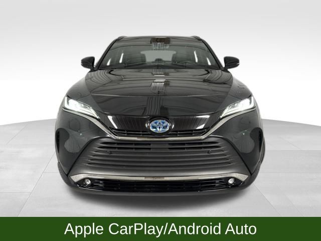 2023 Toyota Venza XLE photo 3