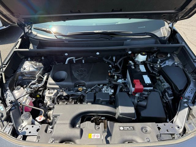 2022 Toyota RAV4 LE photo 12