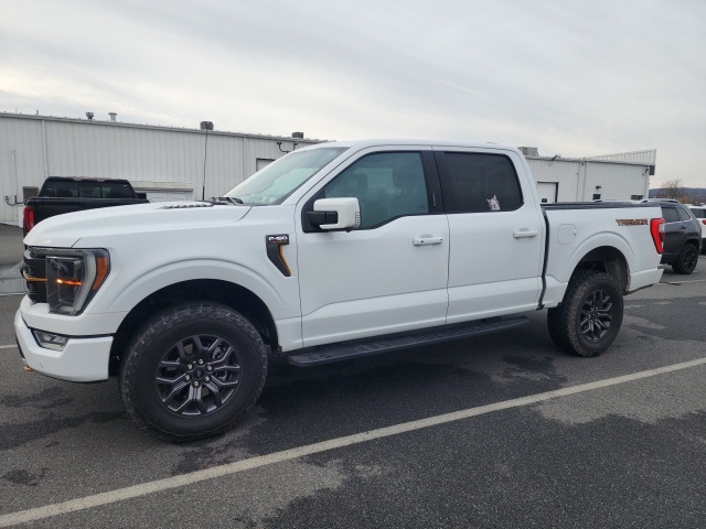 2023 Ford F-150 Tremor's photo