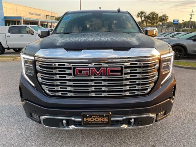2023 Gmc Sierra 1500 Denali photo 2