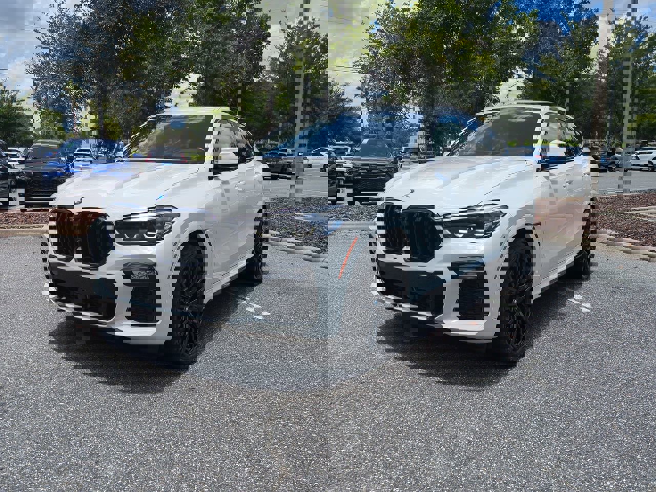 2021 Bmw X6 xDrive40i photo 2