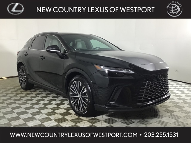 2024 Lexus RX 350's photo