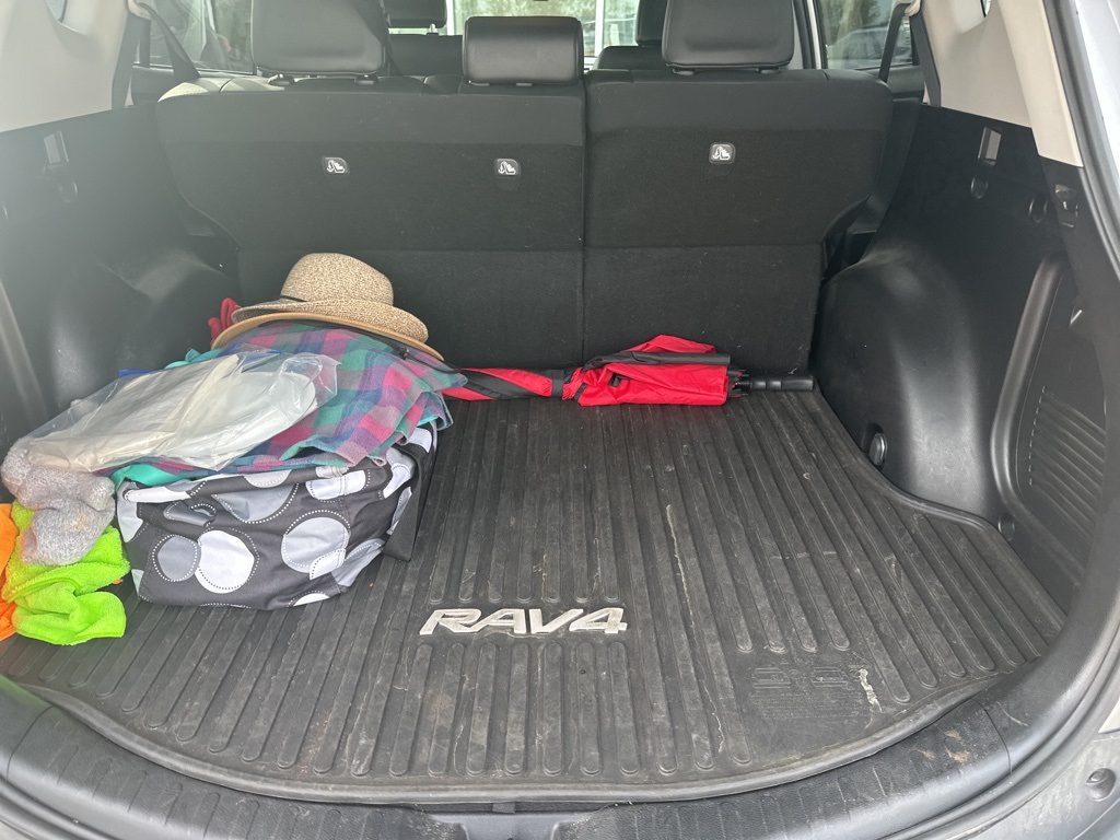 2015 Toyota RAV4 Limited photo 15