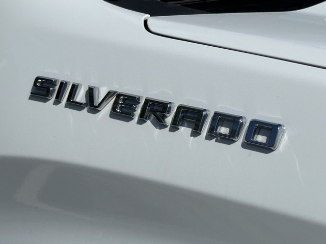 2020 Chevrolet Silverado 1500 Custom photo 9