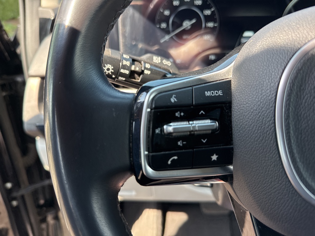 2024 Kia Carnival SX photo 9