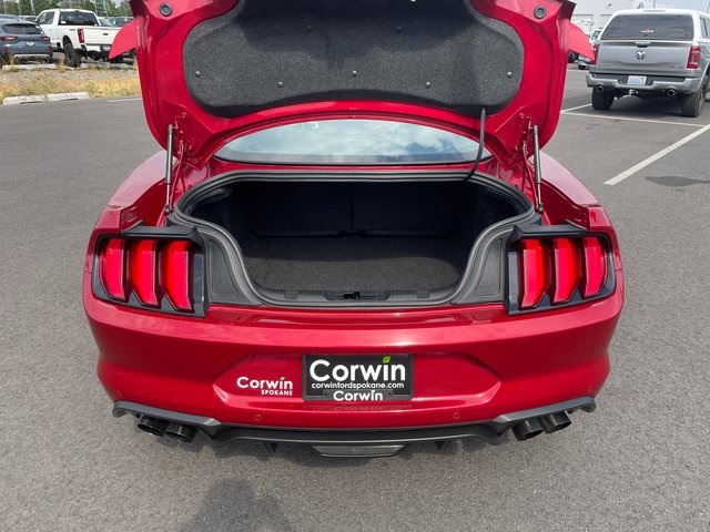 2021 Ford Mustang GT photo 14