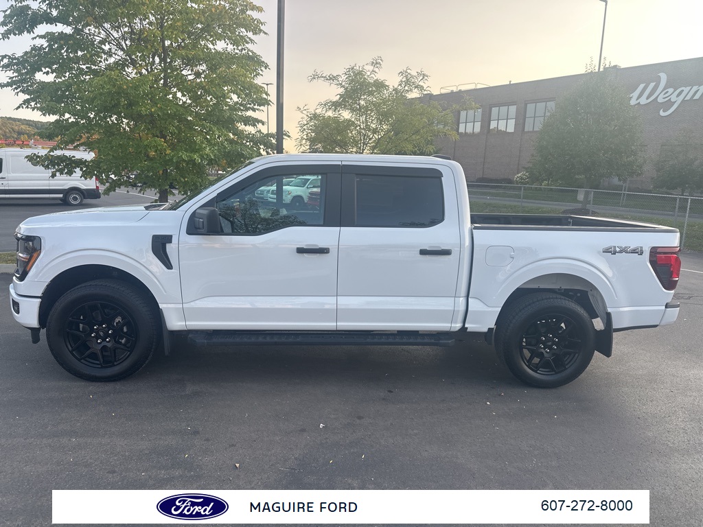 2025 Ford F-150 STX photo 8