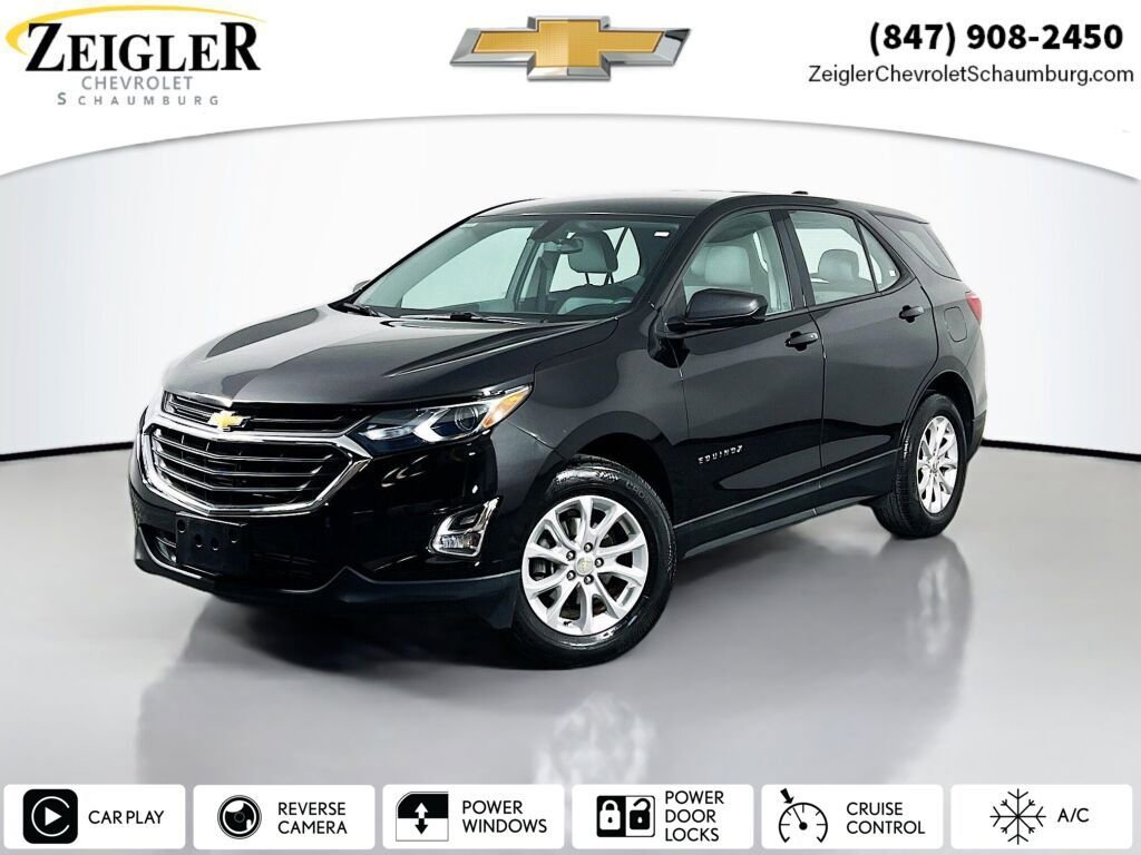 2019 Chevrolet Equinox LS's photo