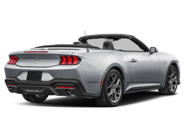 2025 Ford Mustang EcoBoost Premium photo 2