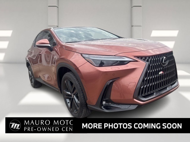 2025 Lexus NX PHEV 450h+'s photo