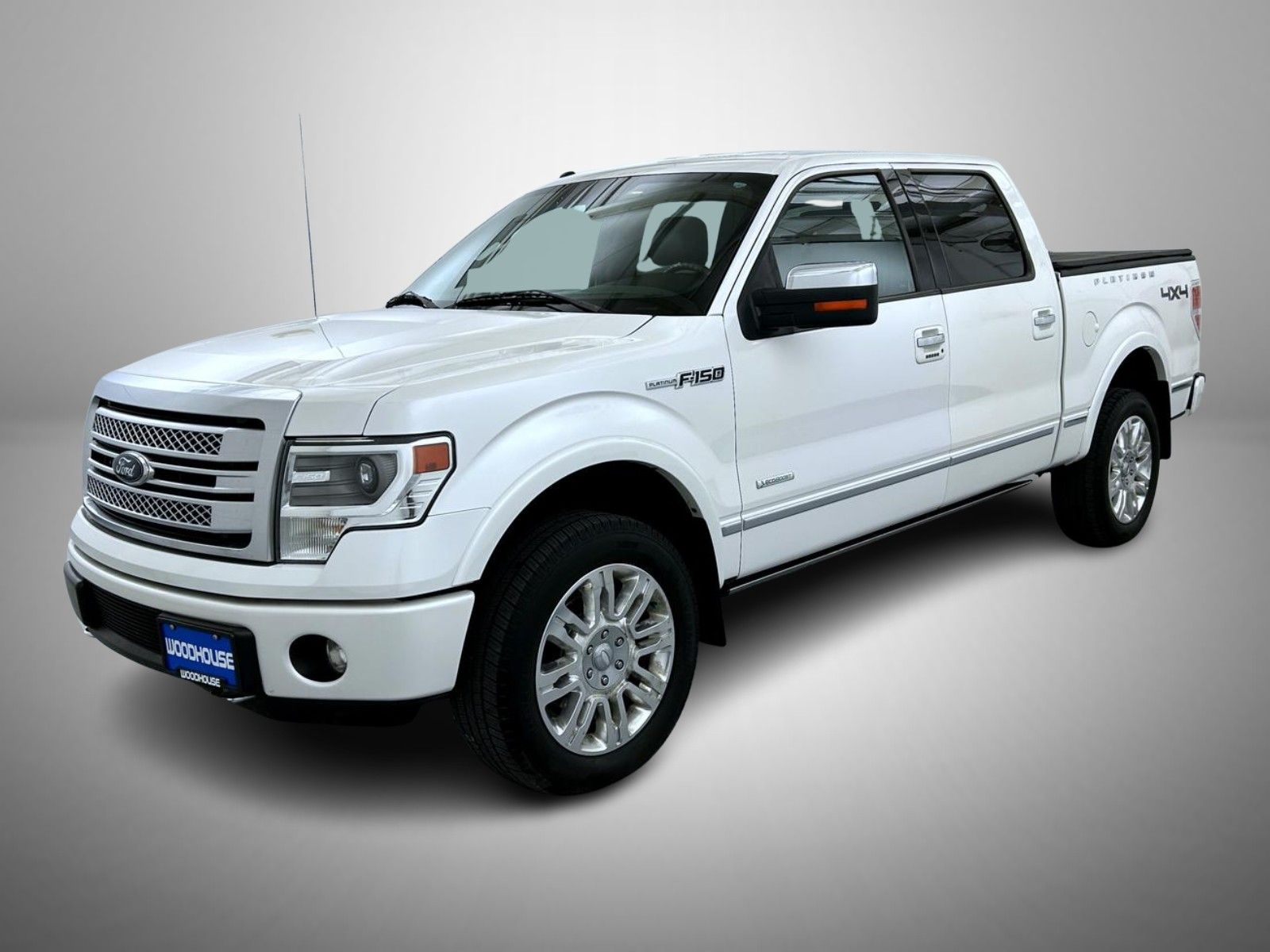 2013 Ford F-150 Platinum