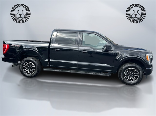 2023 Ford F-150 XLT photo 2