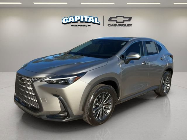 2023 Lexus NX 350's photo