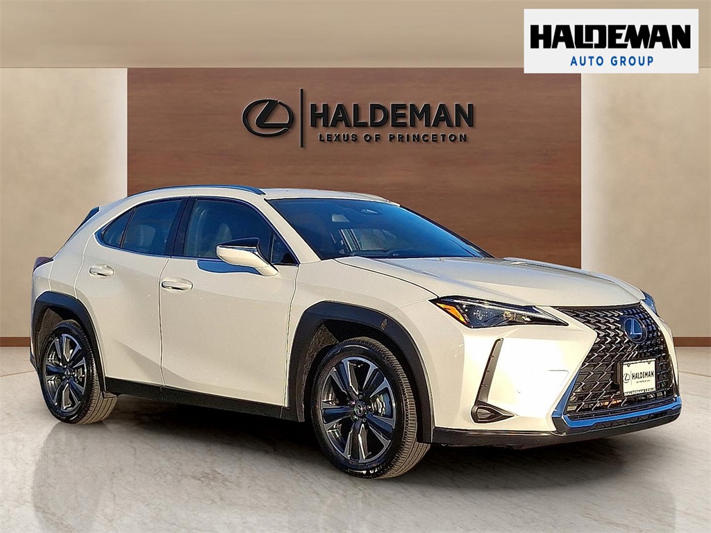 2025 Lexus UX Hybrid 300h's photo