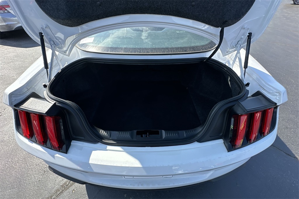 2020 Ford Mustang EcoBoost photo 22