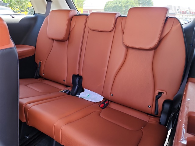 2026 Kia Carnival SX photo 16