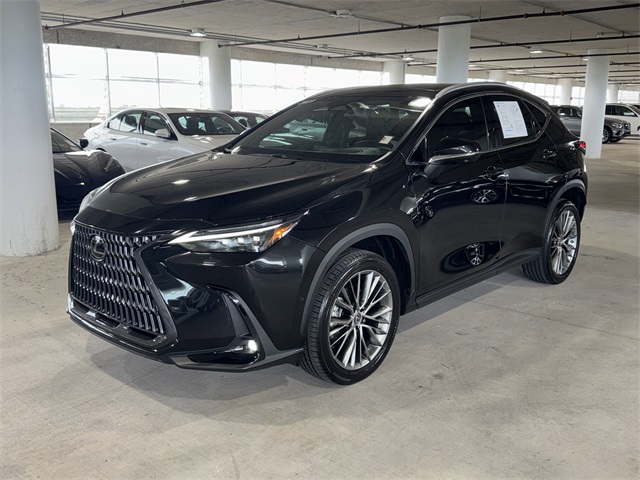 2023 Lexus NX 350h Luxury photo 3