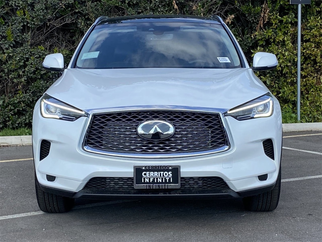 2025 Infiniti QX50 Luxe photo 2