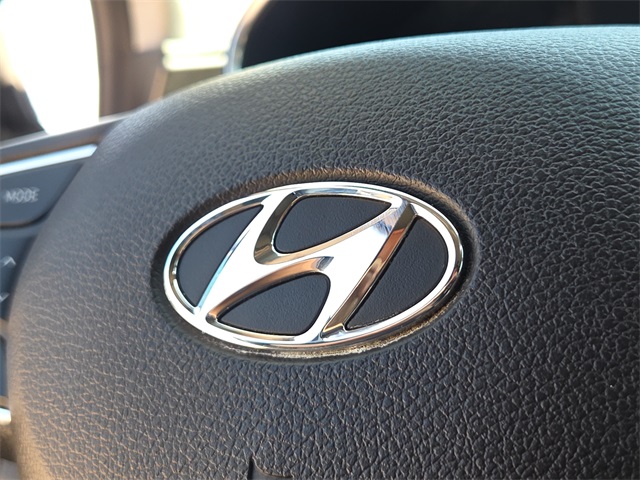 2020 Hyundai Santa Fe Limited photo 21