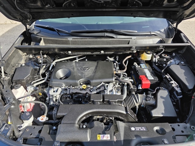 2019 Toyota RAV4 XLE photo 26