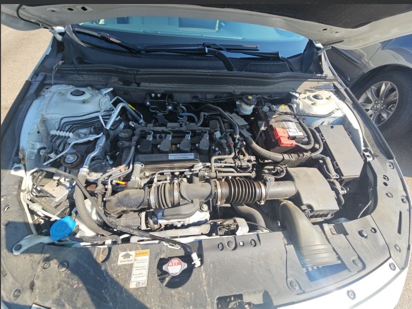 2019 Honda Accord EX-L photo 20