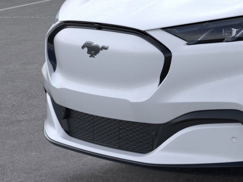 2025 Ford Mustang Mach-E Premium photo 15