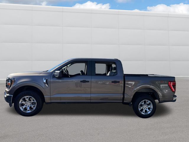 2023 Ford F-150 XLT photo 2
